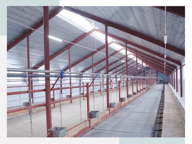 Строительство коровников в Красногорске от 610 руб.