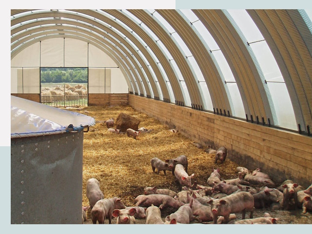 Строительство свинарников в Красногорске