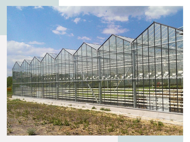 Строительство теплиц в Красногорск от 610 руб. за м²